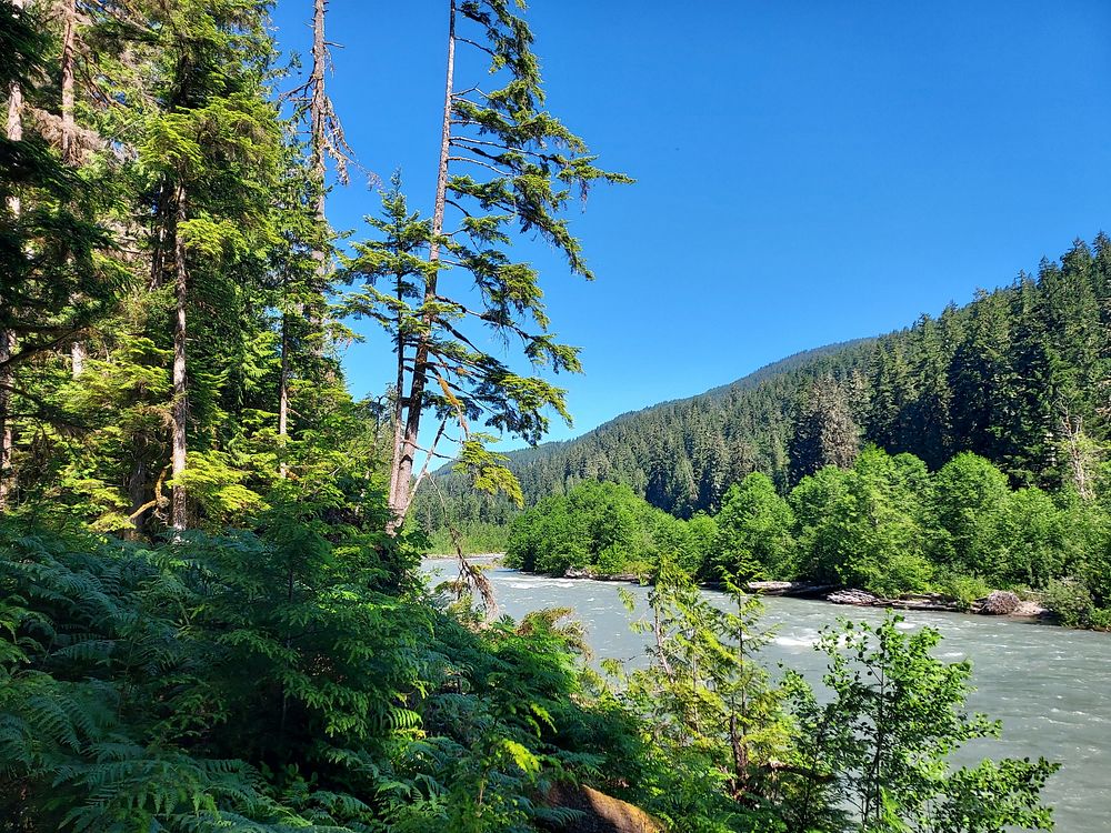 Sauk River from the Old Sauk Trail, Mt. Baker-Snoqualmie National Forest. Original public domain image from Flickr