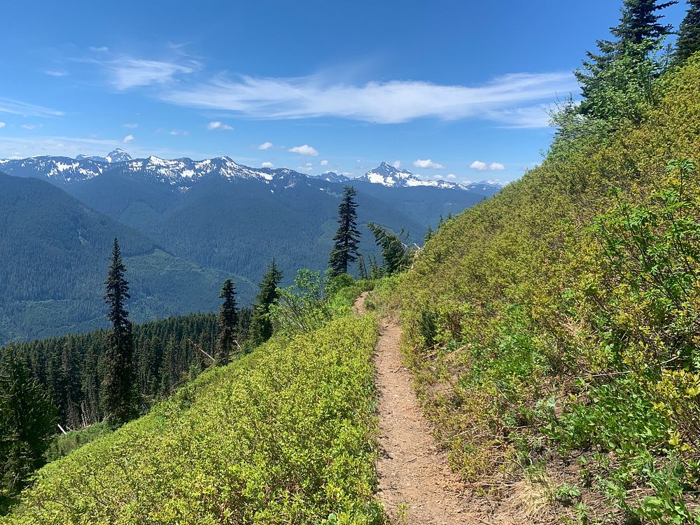 Green Mountain Trail, Mt. Baker-Snoqualmie National Forest. Original public domain image from Flickr