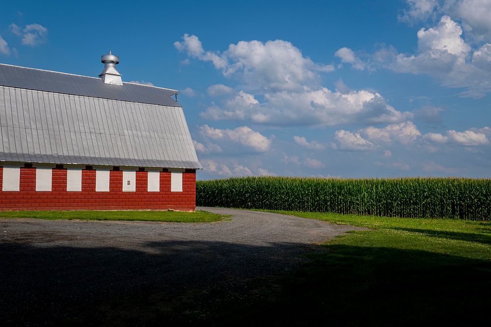 Red barn in corn field. Original public domain image from Flickr