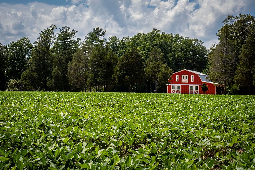 Red barn, countryside farm. Original public domain image from Flickr