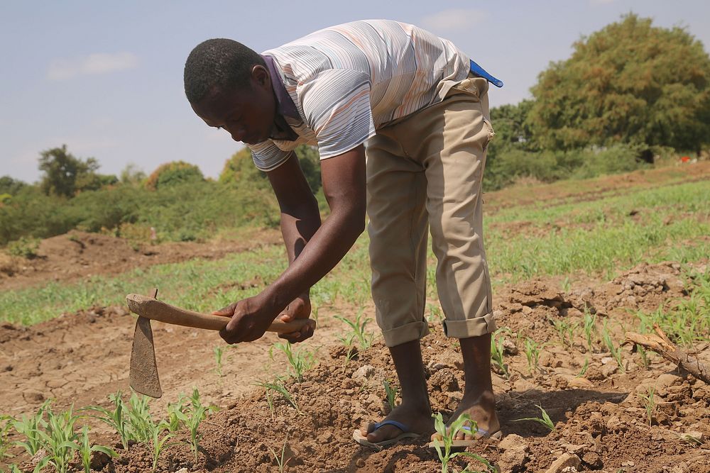 Somalian man gardening. Original public domain image from Flickr