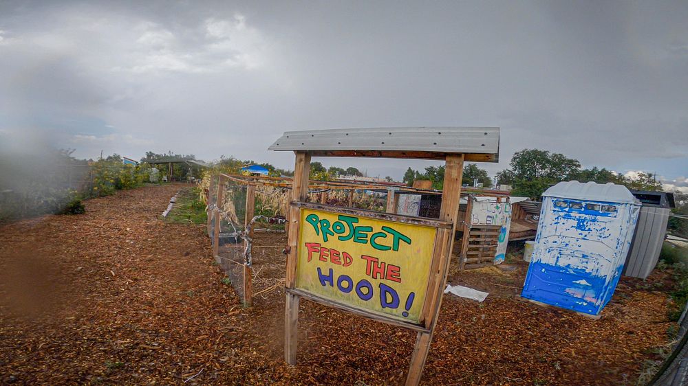 Project Feed the Hood is a food literacy and food justice initiative by the SouthWest Organizing Project that aims to…