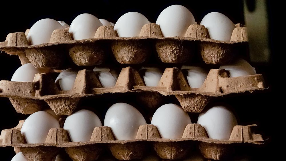 Stack of white eggs.