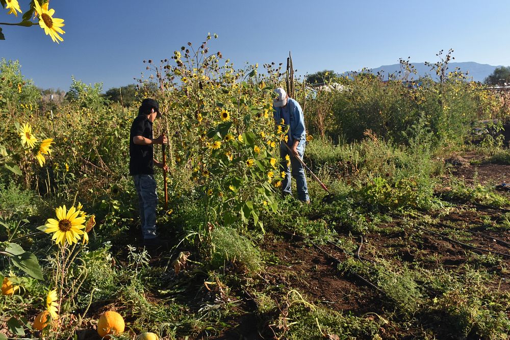 Volunteer Garden Workers from SouthWest Organizing Project at the Ilsa and Rey Garduño Agroecology Center PGI 2