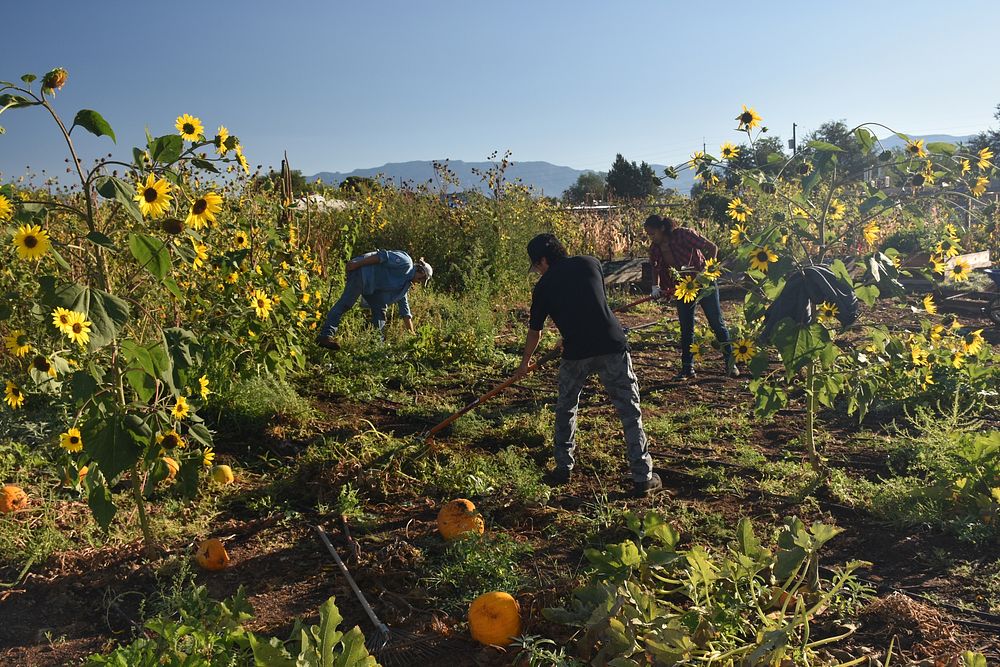 Volunteer Garden Workers from SouthWest Organizing Project at the Ilsa and Rey Garduño Agroecology Center PGI