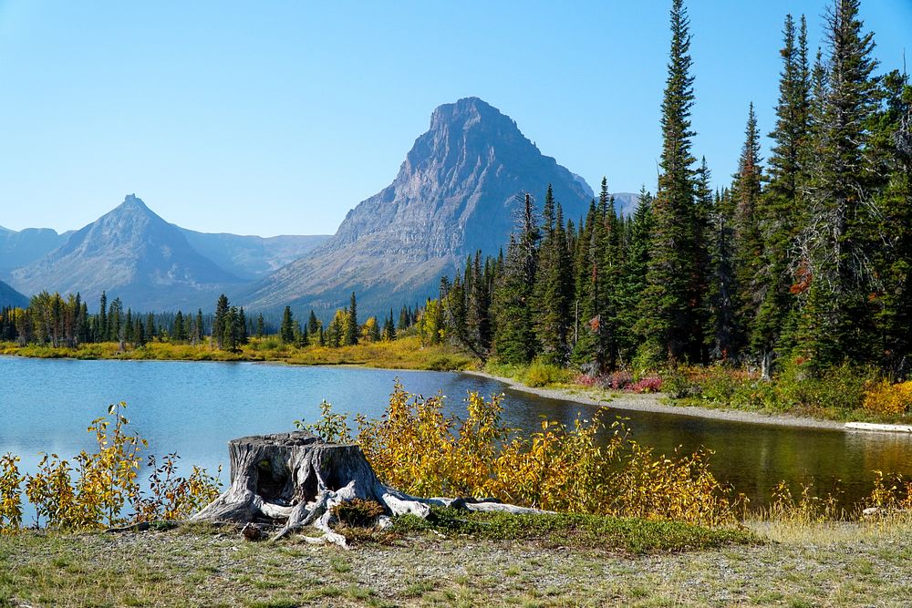 Tree stump with mountains across Pray Lake.