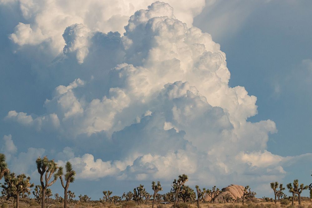 Clouds build from Geology Tour RoadNPS Photo/ Carmen Aurrecoechea Alt Text: Large white clouds loom over a desert landscape…