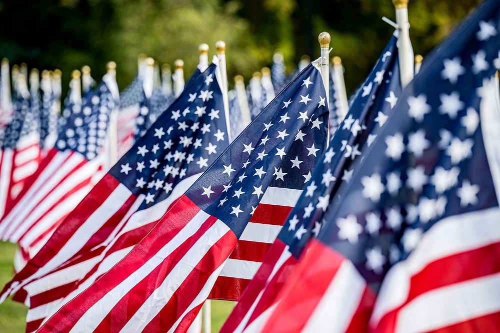  American flags at field of honor