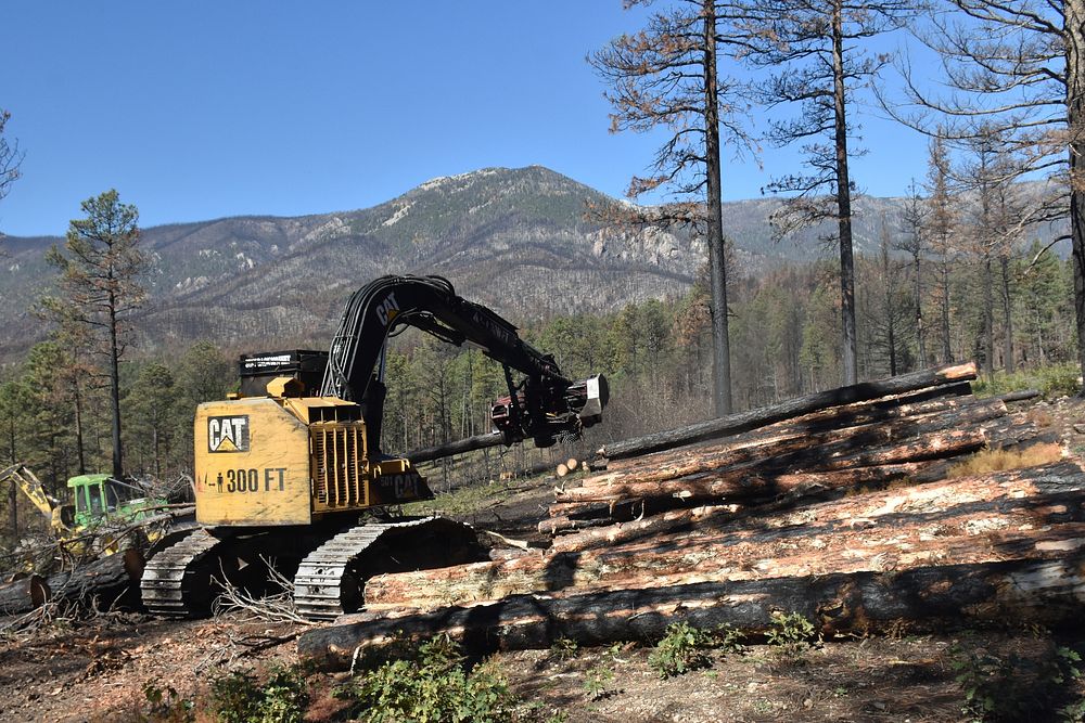 Excavator in forest. Original public domain image from Flickr