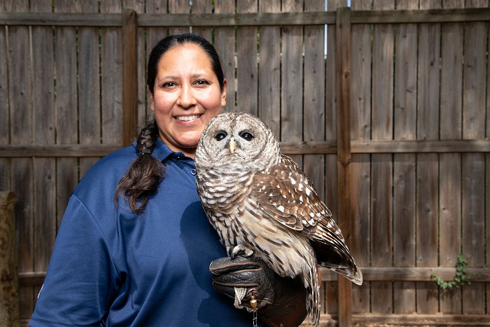 SeaWorld staff and owl at SeaWorld in San Antonio, TX, on July 27, 2022. USDA media by Lance Cheung. For more information on…