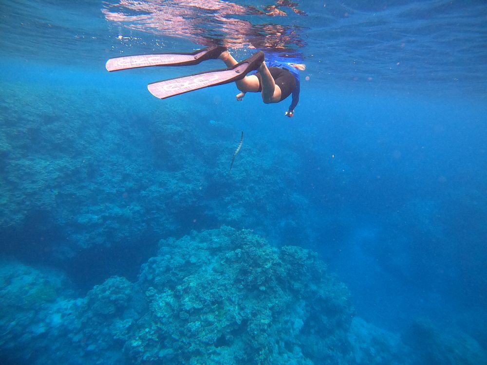 Freediver, underwater photograph.
