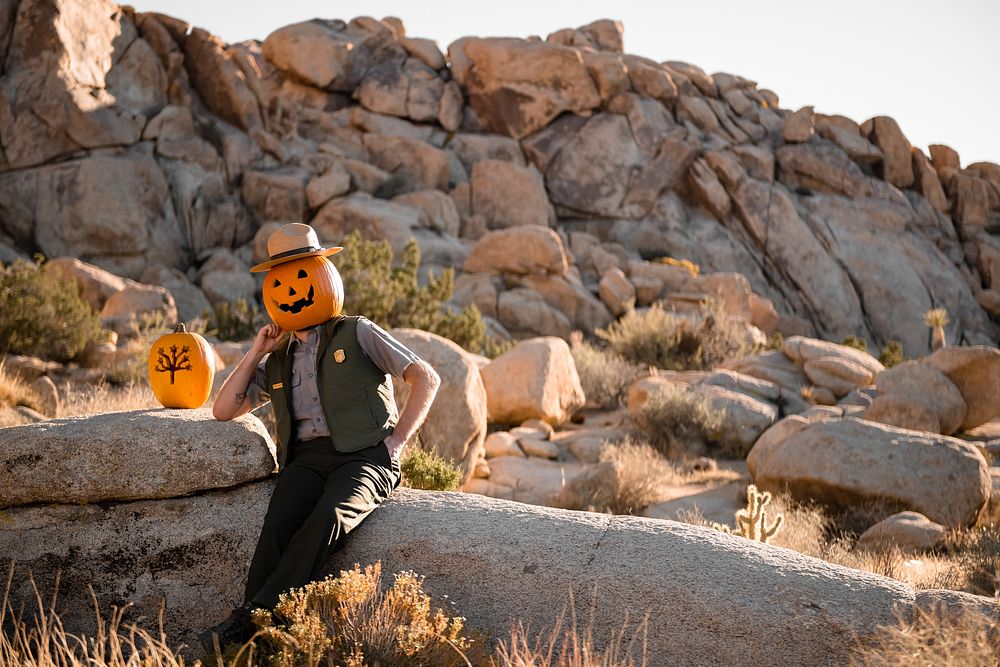 Ranger Jack O'LanternNPS Photo/ Carmen Aurrecoechea Alt Text: A uniformed ranger wears a pumpkin carved with a jack…