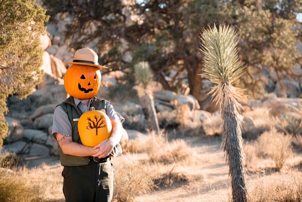 Ranger Jack O'LanternNPS Photo/ Carmen Aurrecoechea Alt Text: A uniformed ranger wears a pumpkin carved with a jack…