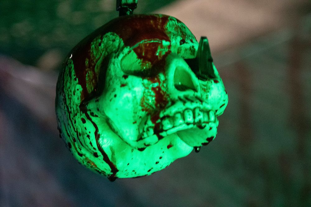 Haunted house decor, green skull.