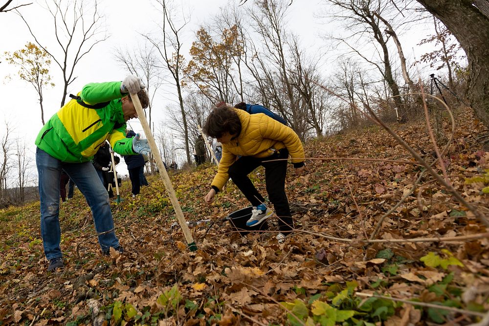 Tree planting action on the occasion of the National Greening Day. Original public domain image from Flickr