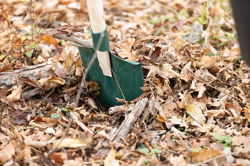 Shovel, gardening tool.