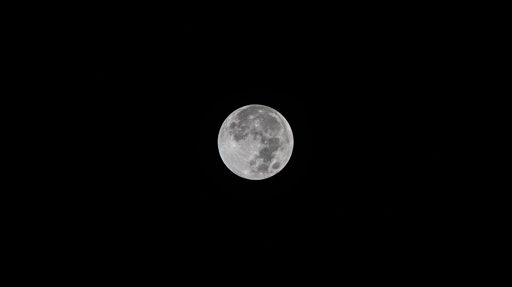 Full Moon Night Images  Free Photos, PNG Stickers, Wallpapers & Backgrounds  - rawpixel