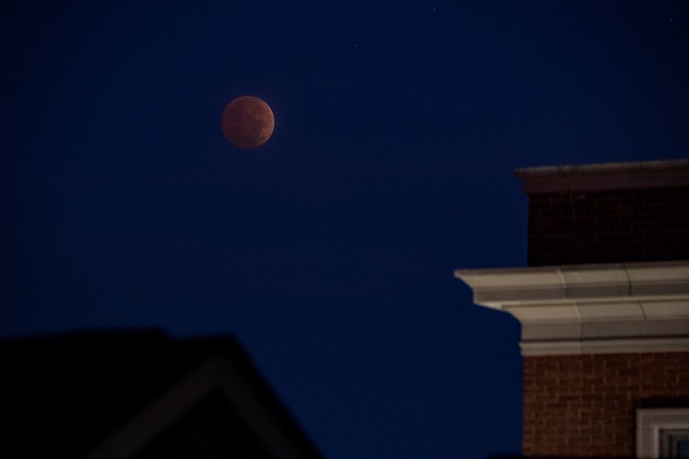 Phases of the lunar eclipse on Nov. 8, 2022, in Arlington, VA. USDA Media by Lance Cheung.