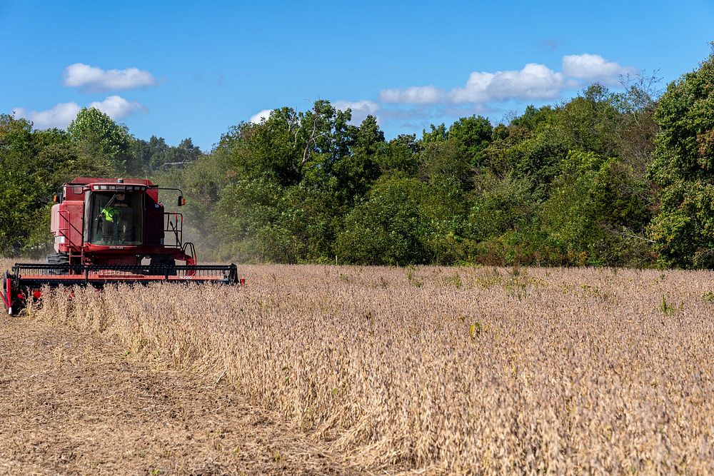 Scully farm cover crop seedingMike Scully harvests soybeans at Scully Family Farms in Spencer, Indiana Sept. 29, 2022. (NRCS…