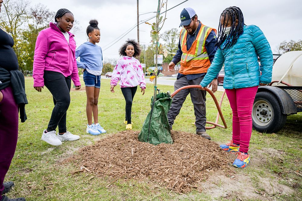 Students planting trees in West Greenville for Community Tree Day on Thursday, November 10. Original public domain image…