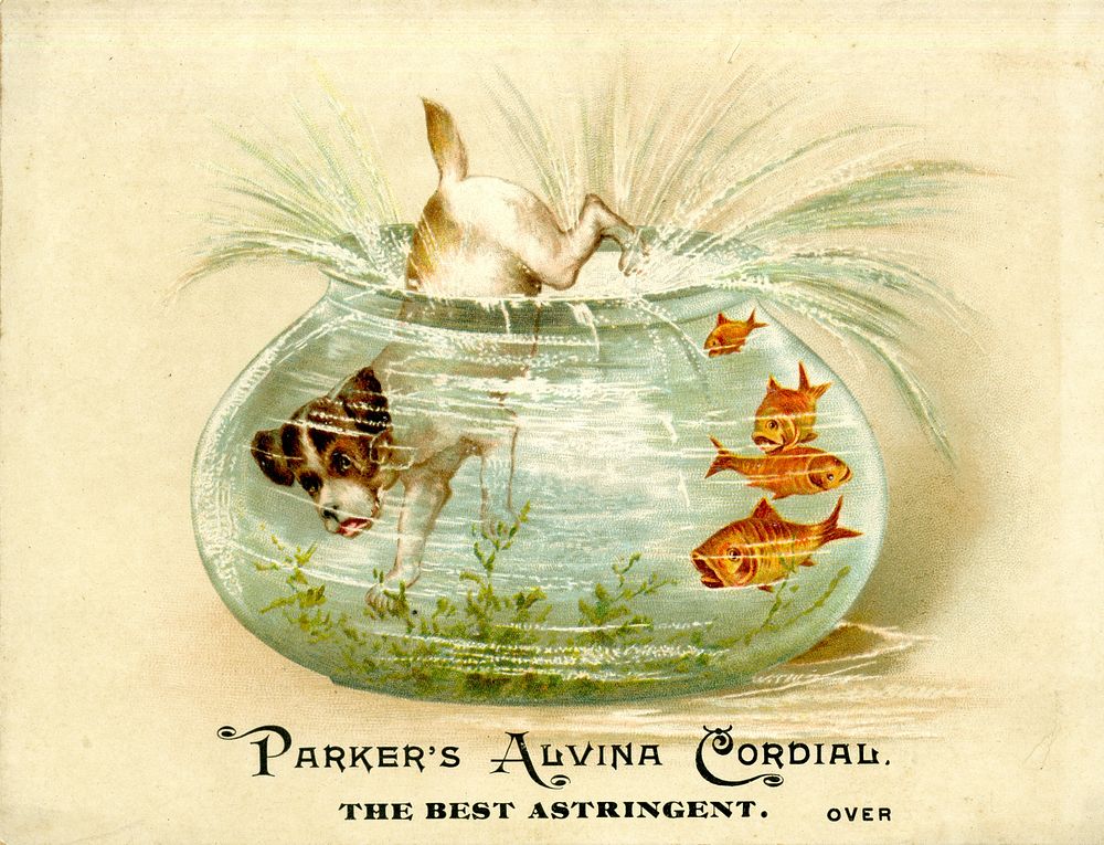 Parker's Alvina Cordial: the Best AstringentCollection:Images from the History of Medicine (IHM) Alternate Title(s):Alvina…