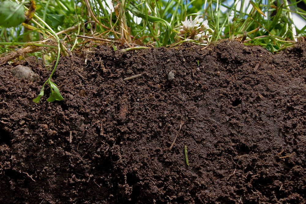 Healthy soil, agriculture.