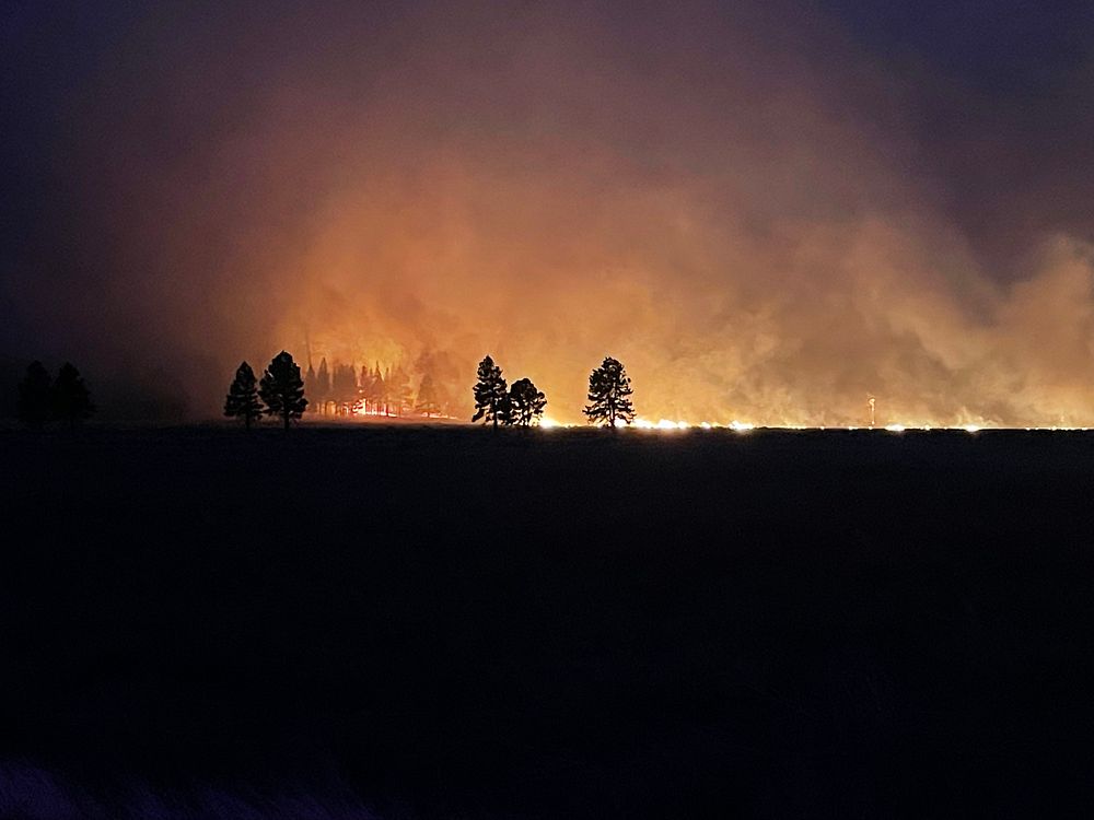 Tunnel Fire, April 19, 2022. Photo via Eric True. Credit U.S. Forest Service Coconino National Forest.