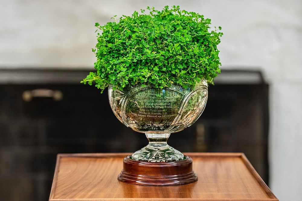 The traditional Shamrock Bowl presented by Taoiseach Micheál Martin of Ireland is displayed in the Oval Office on St.…