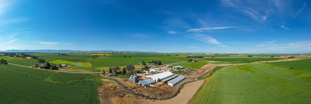 Aerial view of farm.