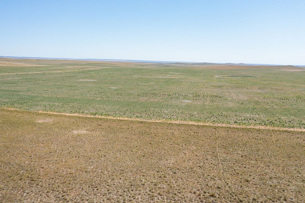 Top parcel in its third year of monoculture conversion from crested wheatgrass monoculture pasture. The bottom side is still…
