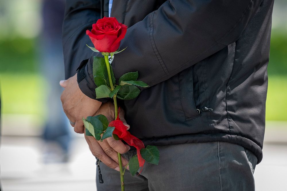 Wreath-laying ceremony, red rose.