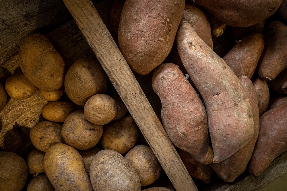 Potatoes, freshly picked vegetables.