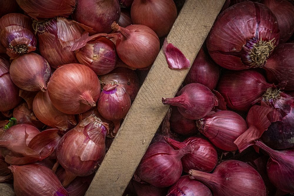 Red onion, freshly picked vegetables.