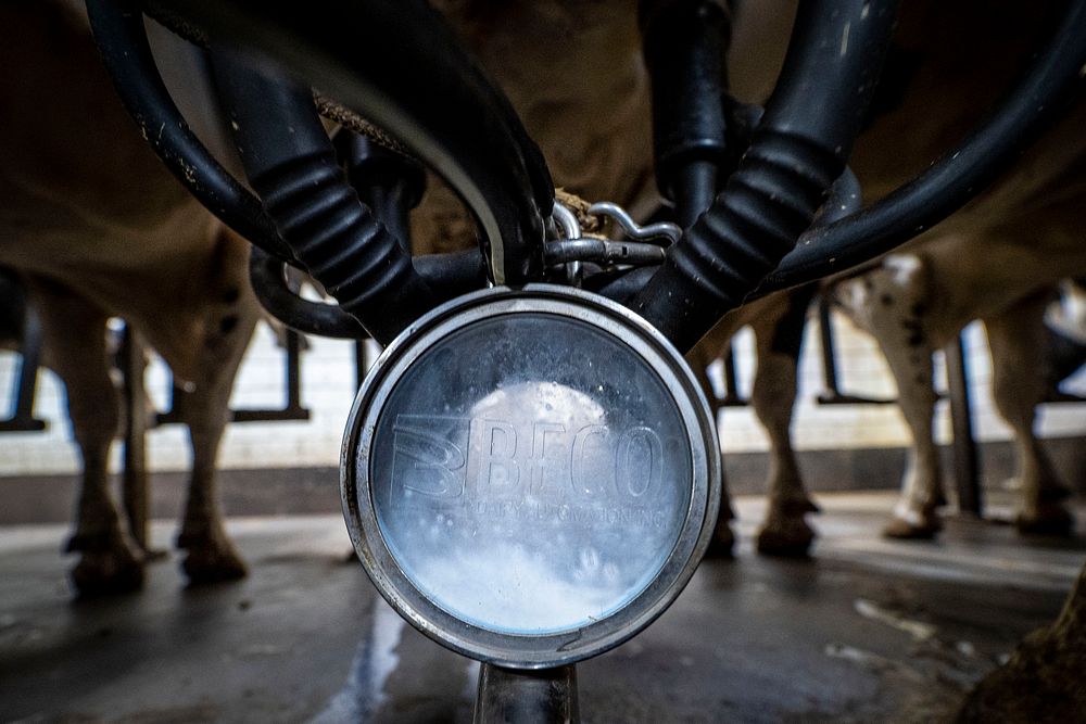 Clark Farms Creamery is a multigenerational dairy farm.