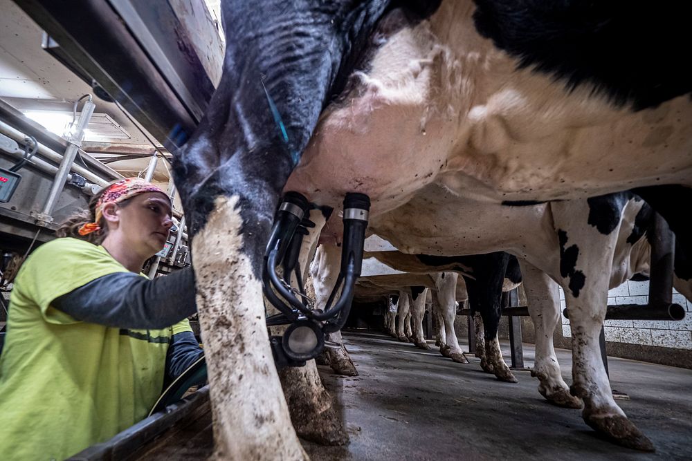 Clark Farms Creamery is a multigenerational Free Photo rawpixel