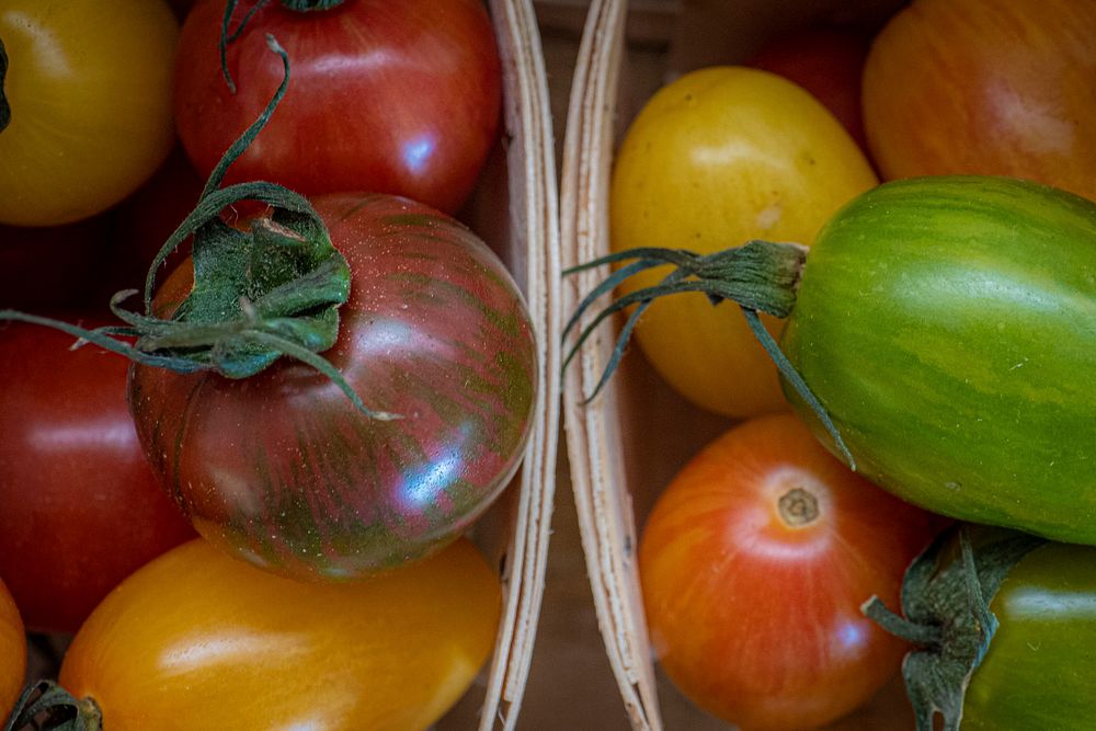 Tomatoes, organic vegetable.