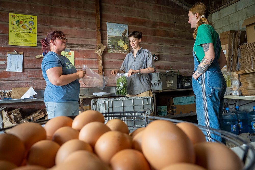 Nichki Carangelo and Laszlo Lazar operate Letterbox Farm, a diversified organic farm in Hudson, New York, where they grow…