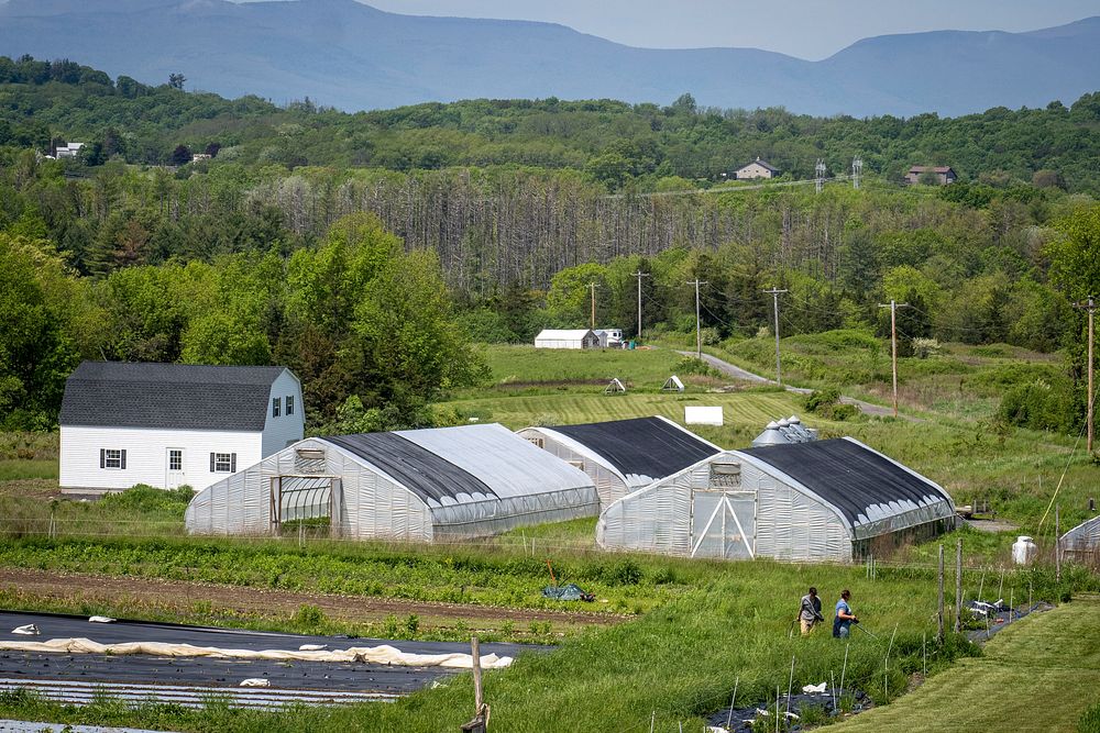 Nichki Carangelo and Laszlo Lazar operate Letterbox Farm, a diversified organic farm in Hudson, New York, where they grow…