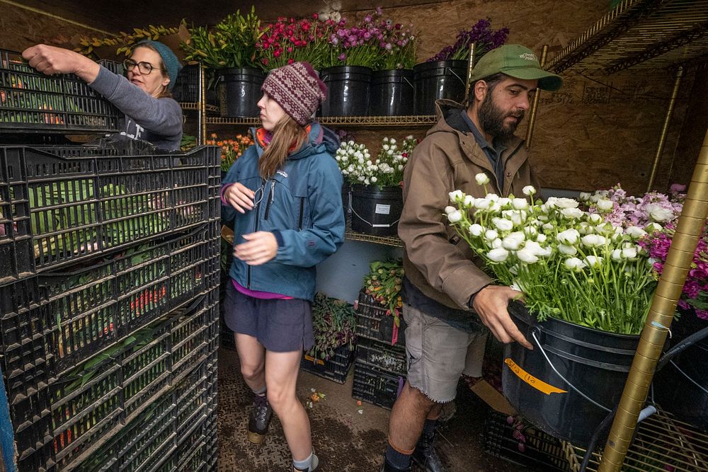 Beginning Farmers Luke Franco (not pictured) and Jenny Elliott (left) run Tiny Hearts Farm in Copake, New York and flower…