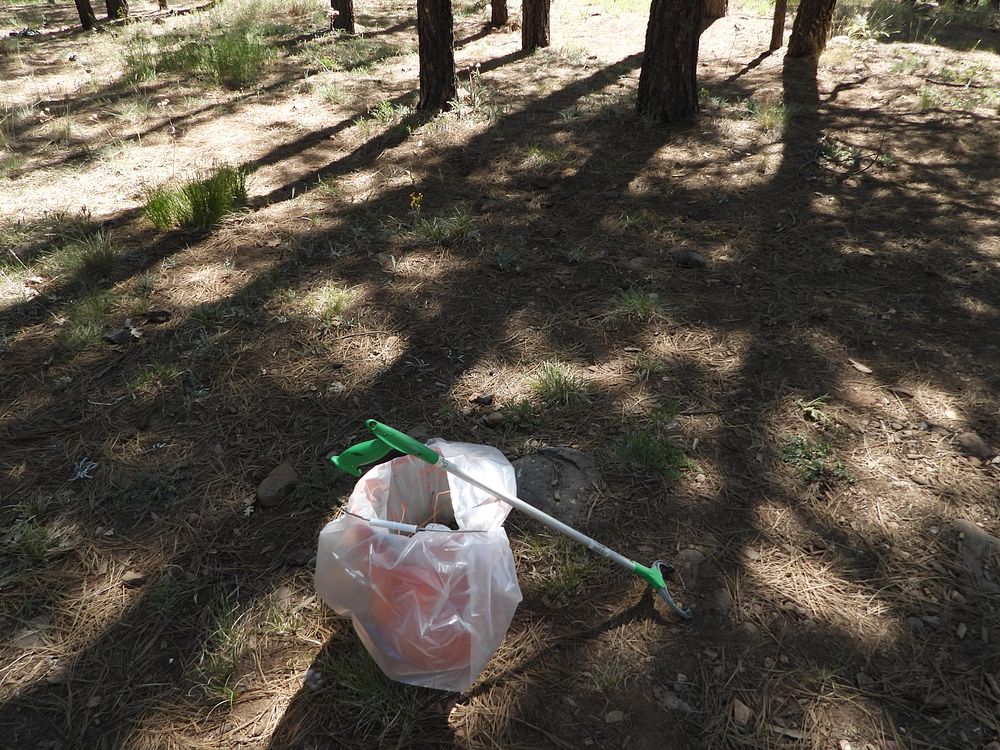 Pickin' Up in the Pines May 2022In partnership with the National Forest Foundation, Oak Creek Watershed Council and Arizona…