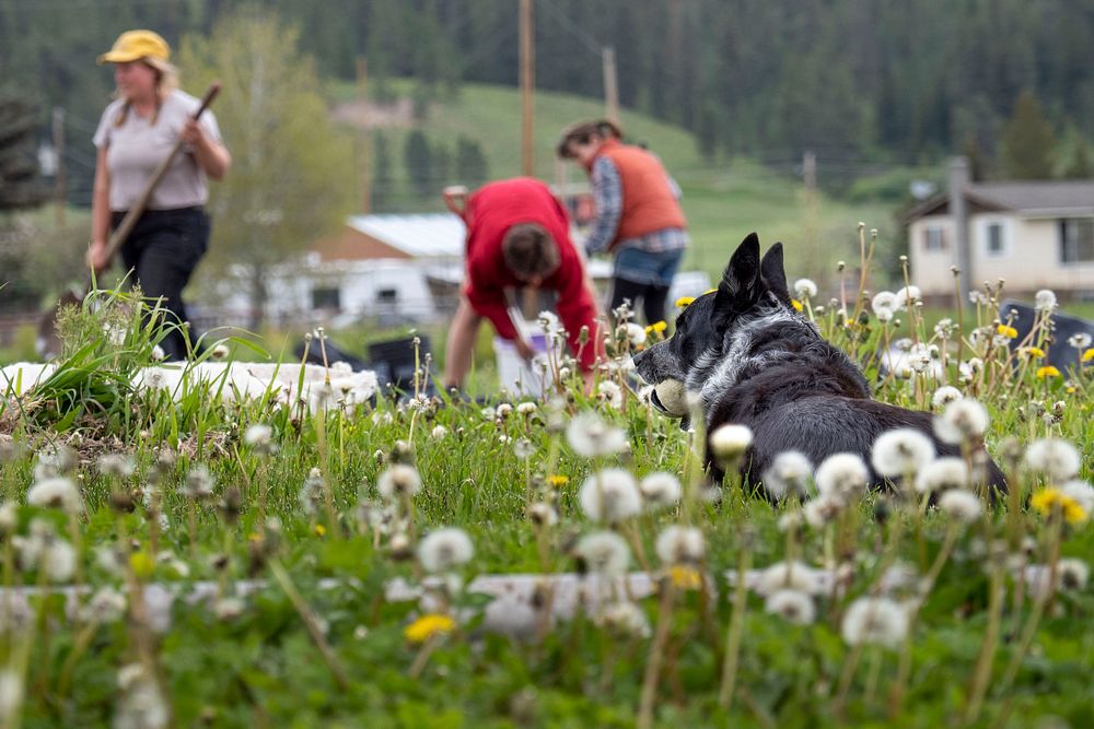 Tracy Potter-Fins and Bethany Stanbery grow fresh, high quality, certified organic, Montana Homegrown produce and flowers…