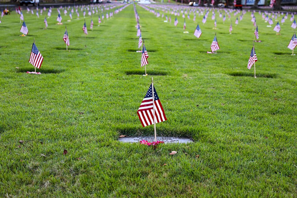 American Flags at Cemetery, Memorial Day.