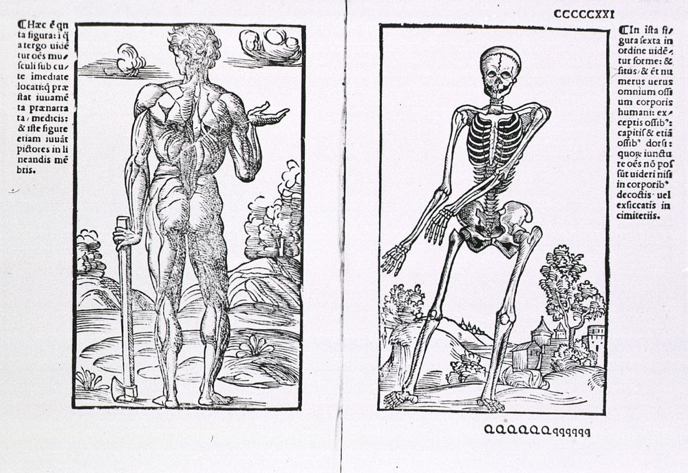 Muscles and bonesCollection: Images from the History of Medicine (IHM) Author(s): Berengario da Carpi, Jacopo, approximately…