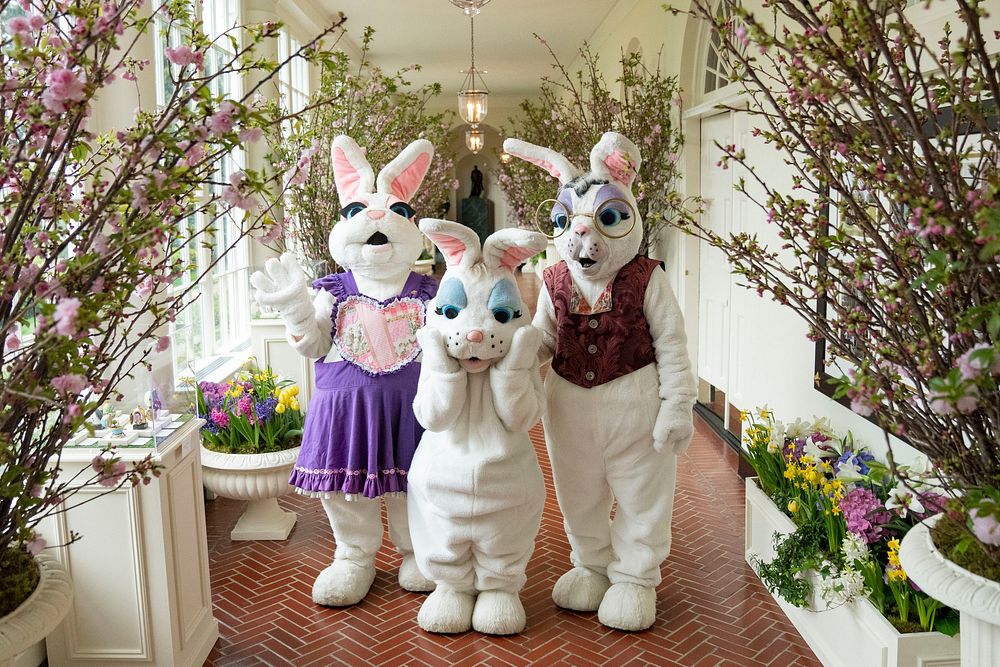 The Easter Bunnies pose for a group photo in the East Colonnade, Monday, April 18, 2022, following the White House Easter…