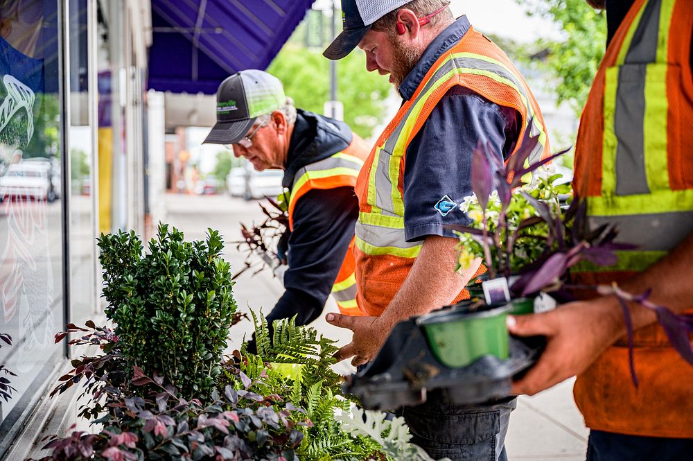Uptown PlantersCity of Greenville Public Works refreshes and maintains planters across the Uptown area on Wednesday, May 25.