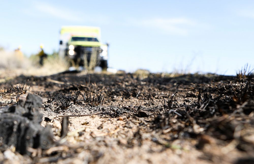 Burned grass along a highway. Original public domain image from Flickr