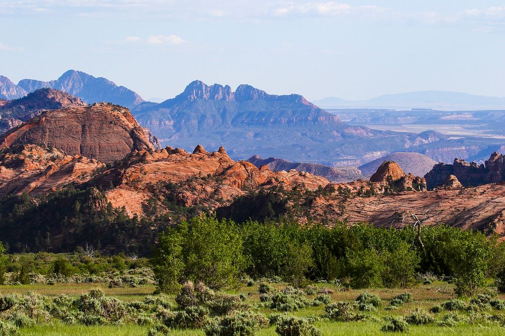 MAY 18 Sagebrush and junipers Free Photo rawpixel