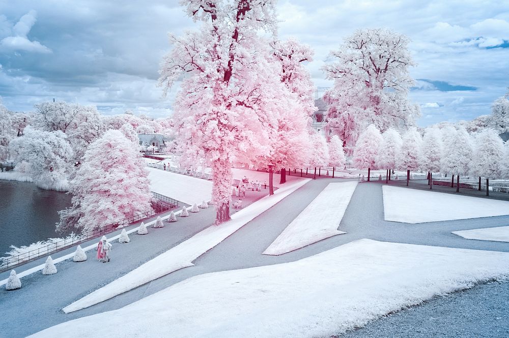 Polaroid filtered winter snow scenery.
