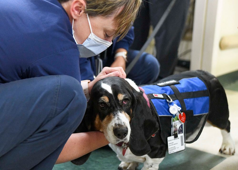 Therapy dogs bring comfort to Medical Center staff.