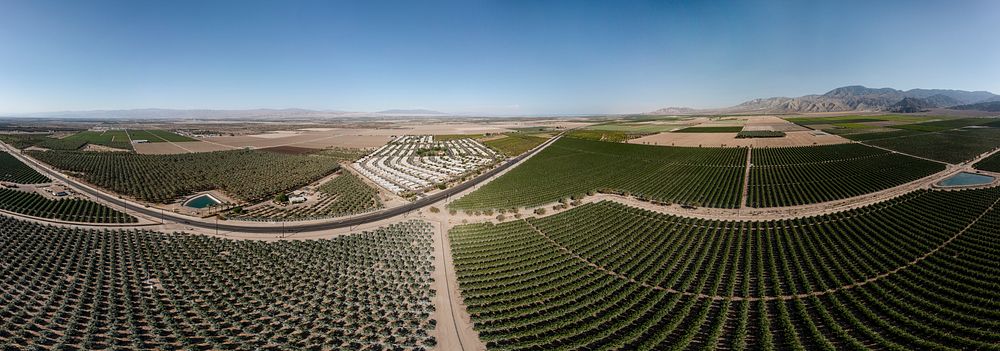 Mountain View Estates MVE is surrounded by farm fields of date palms and other crops, in Thermal, CA.